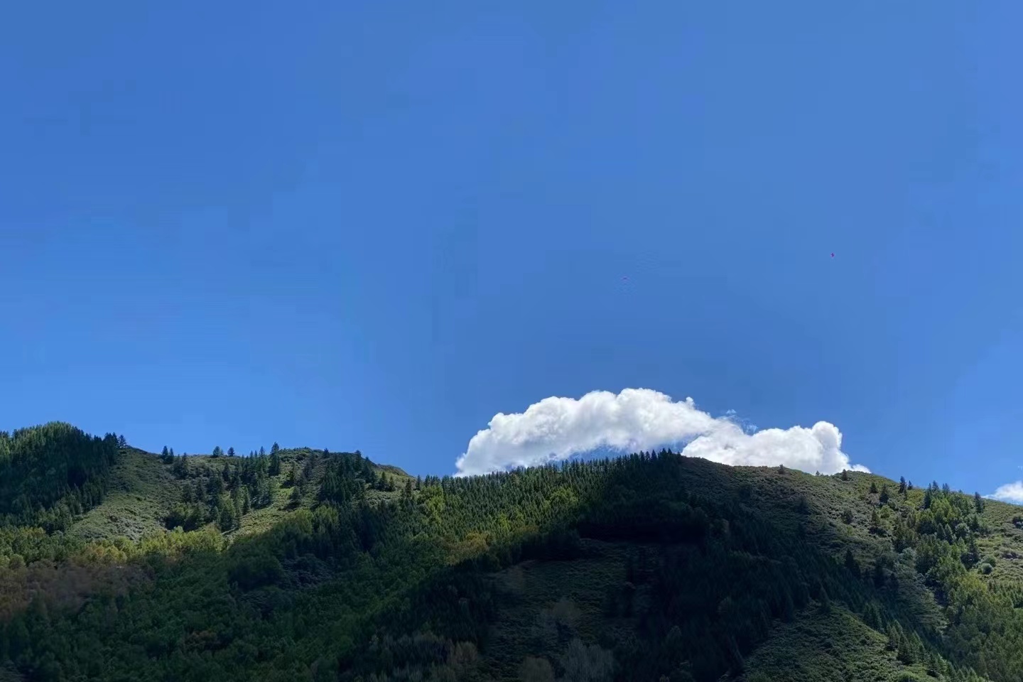 1692862894441690.jpg 4550ddf4b4c4fa2499ffae2299d4d7c.jpg